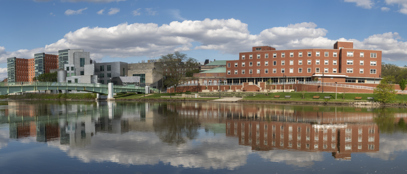 bridge connecting UI campus across river