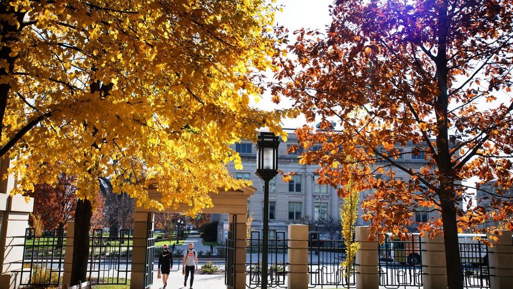 Campus in fall.